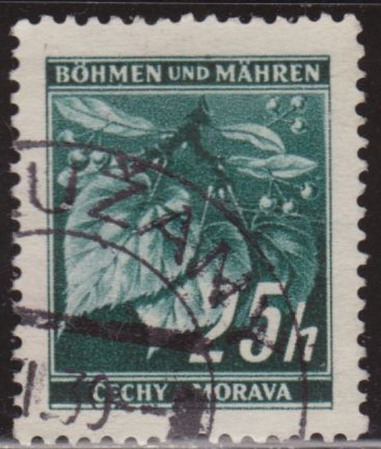 Bohemia y Moravia 1939 Scott 23 Sello º Flora Hojas de Tilo Linden Leaves & Closed Buds 25h Bohmen und Mahren Cechy a Moravia Ceskolovensko Czechoslovakia Tchecoslovaquie